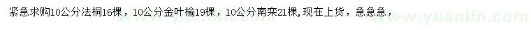 求購(gòu)法桐、金葉榆、南欒