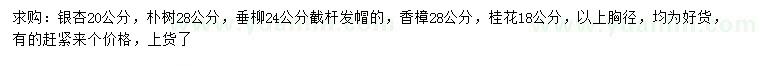 求購銀杏、樸樹、垂柳等