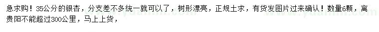求購35公分銀杏