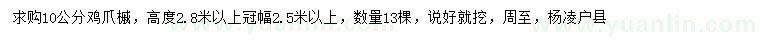 求購10公分雞爪槭