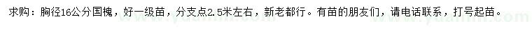求購胸徑16公分國槐