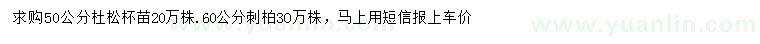 求購(gòu)50公分杜松、60公分刺柏