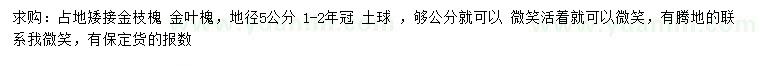 求購(gòu)地徑5公分金枝槐、金葉槐