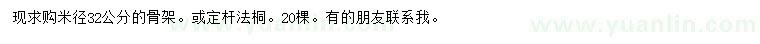 求購米徑32公分法桐