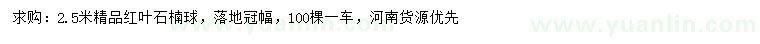 求購2.5米紅葉石楠球