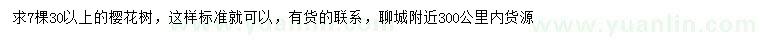 求購30公分以上櫻花