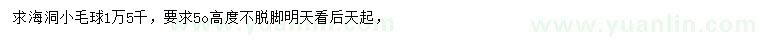 求購高50公分海洞小毛球