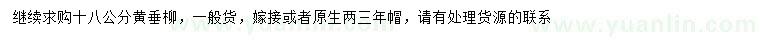求購18公分黃垂柳