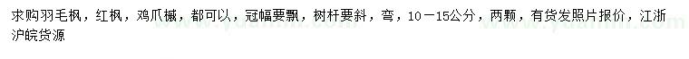 求購羽毛楓、紅楓、雞爪槭