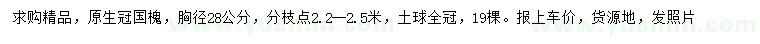 求購胸徑28公分國槐