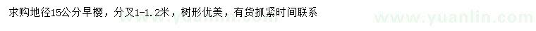 求購地徑15公分早櫻