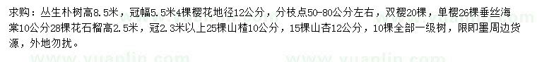 求購叢生樸樹(shù)、櫻花、雙櫻等