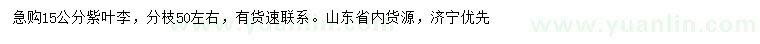 求購(gòu)15公分紫葉李