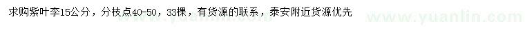 求購15公分紫葉李