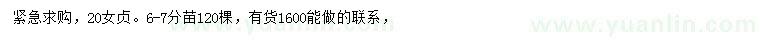 求購(gòu)20公分女貞