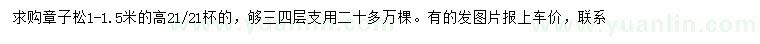 求購高1-1.5米樟子松