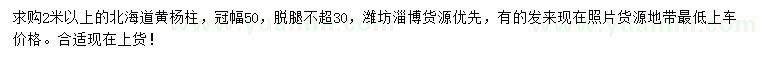 求購(gòu)2米以上北海道黃楊柱