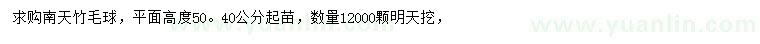 求購(gòu)高40-50公分南天竹毛球