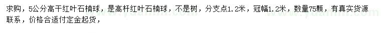 求購(gòu)5公分高桿紅葉石楠球