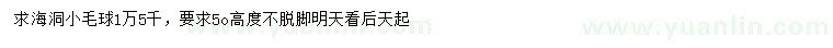 求購高50公分海洞球