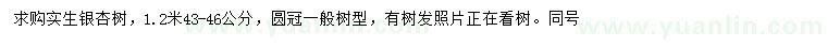 求購1.2米量43-46公分銀杏