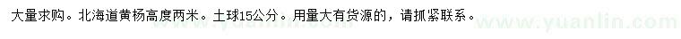 求購高2米北海道黃楊