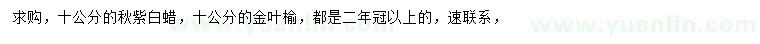 求購10公分秋紫白蠟、金葉榆