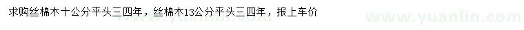 求購10公分絲棉木