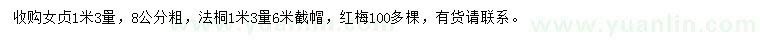 求購女貞、法桐、紅梅