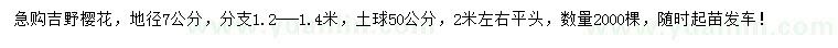 求購地徑7公分染井吉野櫻