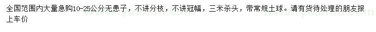 求購(gòu)10-25公分無患子