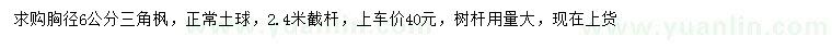 求購胸徑6公分三角楓