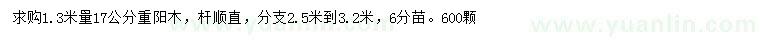 求購1.3米量17公分重陽木