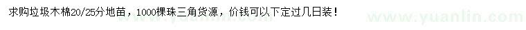 求購20、25公分木棉