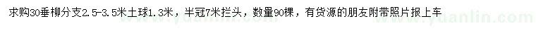 求購(gòu)30公分垂柳