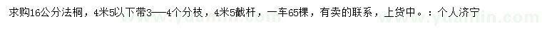 求購16公分法桐