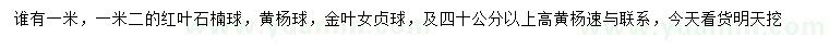 求購(gòu)紅葉石楠球、黃楊球、金葉女貞球