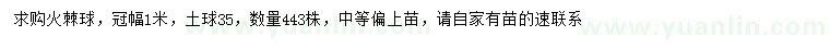 求購冠幅1米火棘球
