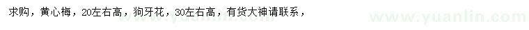 求購高20公分左右黃心梅、高30公分左右狗牙花