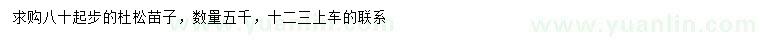 求購80公分起步杜松