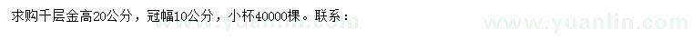 求購高20公分千層金