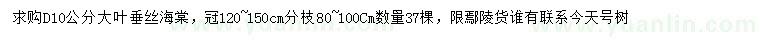 求購(gòu)地徑10公分大葉垂絲海棠
