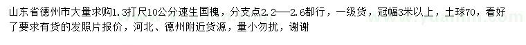 求購1.3米量10公分速生國槐