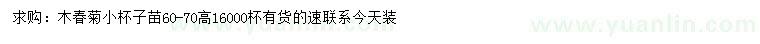 求購高60-70公分木春菊