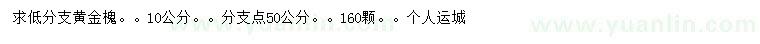 求購10公分黃金槐