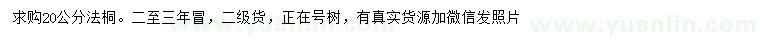 求購20公分法桐