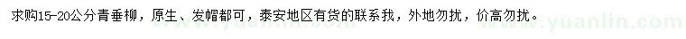 求購15-20公分青垂柳