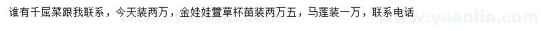 求購千屈菜、金娃娃萱草、馬蓮