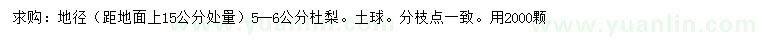 求購(gòu)地徑5-6公分杜梨