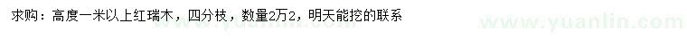 求購高1米以上紅瑞木